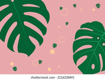 The design is trendy and exotic for the leaf monstera green of nature in the summer botanical jungle for the banner background, decoration, frame, and for illustration.