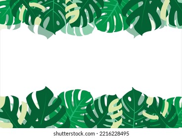 The design is trendy and exotic for the leaf monstera green of nature in the summer botanical jungle for the banner background, decoration, frame, and for illustration.