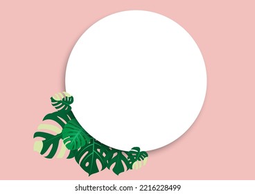 The design is trendy and exotic for the leaf monstera green of nature in the summer botanical jungle for the banner background, decoration, frame, and for illustration.