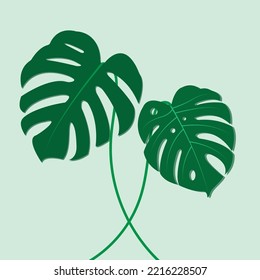 El diseño es moderno y exótico para la monastera foliar verde de la naturaleza en la jungla botánica de verano para el fondo de la bandera, la decoración, el marco y para la ilustración.