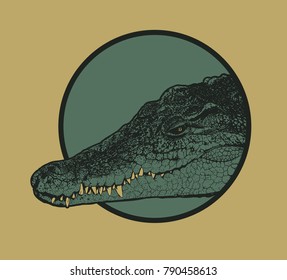 Design t-shirt print with crocodile head and place for your text. vector illustration.