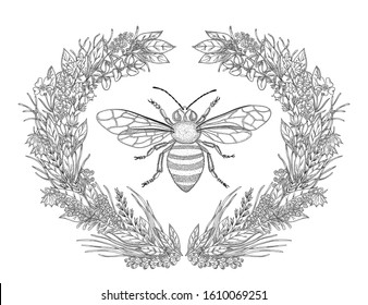 Design for t-shirts, logo, emblem with image of wreath of flowers and honey bee. Black and white vector illustration. Botanical t-shirt. Vintage vector graphic illustration.