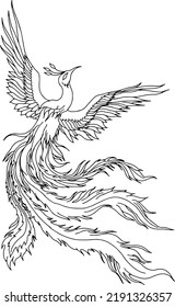 Design Vector Asian Phoenix Bird Outline