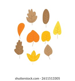 Design vector autum leaves simple