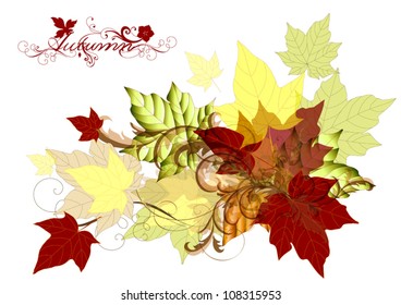 Design with vector autumn maple leafs