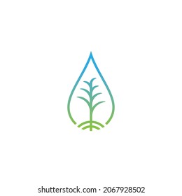 design vector. combination of plants in dripping water. agriculture company.
