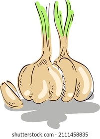 design vector doodle art illustration of vegetable in resto 