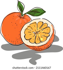 design vector doodle art illustration of fruty nature and healty food