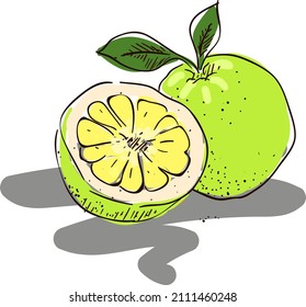 design vector doodle art illustration of fruty nature and healty food