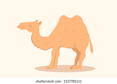 design vector doodle art illustration of camel