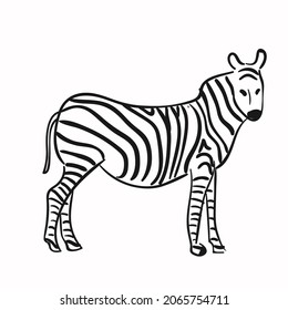 Design vector drawing line illustration animal zebra horse