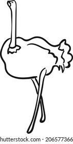 design vector drawing line illustration animal ostrich