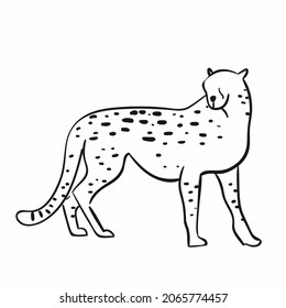 ilustración de la línea de dibujo del vector de diseño animal Leopard