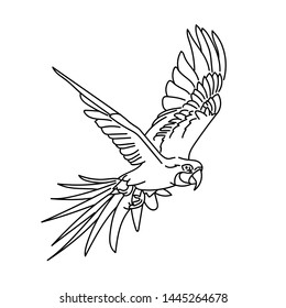 design vector illustration of a bird with a line style, and with printable vector..