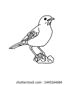 design vector illustration of a bird with a line style, and with printable vector..