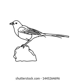 design vector illustration of a bird with a line style, and with printable vector..