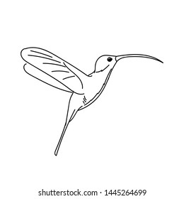 design vector illustration of a bird with a line style, and with printable vector..