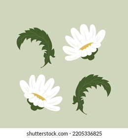 design vector illustration of flower beautiful