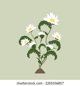 design vector illustration of flower beautiful