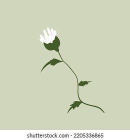 design vector illustration of flower beautiful