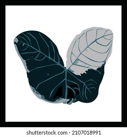 design vector illustration flower butterfly 