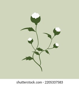 design vector illustration of flower step proses