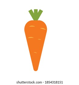 Design vector rabbit food carrots