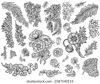Design vector set with line art botanical elements, leaves, fruit and flowers. Vintage floral collection with hand drawn illustrations isolated on white. 