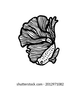 Design vector unique Betta fish or fighting fish  Suitable for ornamental fish shop logo , etc