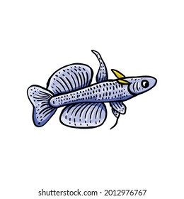 Design vector unique decorative fish or Suitable for ornamental fish shop logo , etc