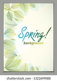 Design vertical banner with Spring typing logo, green and fresh leaves frame composition background. Seasonal card, promotion offer. Stylish classy botanical drawing, environment.