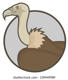 Design vulture