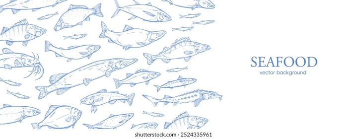 Design de banner web com fronteira de diferentes espécies de peixes marinhos. Modelo de cartaz horizontal com quadro de vintage padrões de salmão, bagre, esturjão, atum. Ilustração do vetor de contorno