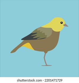 Design yellow bird cartoon vector illustration