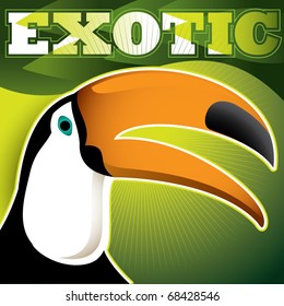 Designed exotic banner with toucan. Vector illustration.