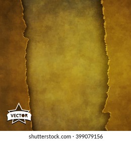 Designed grunge texture, vector background