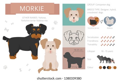 Designer, crossbreed, hybrid mix dogs collection isolated on white. Flat style clipart set. Vector illustration