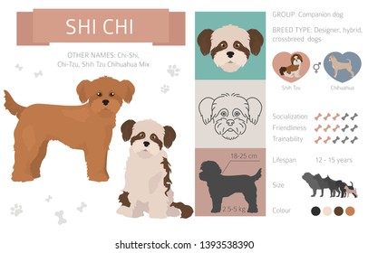 Designer dogs, crossbreed, hybrid mix pooches collection isolated on white. Flat style clipart infographic. Vector illustration