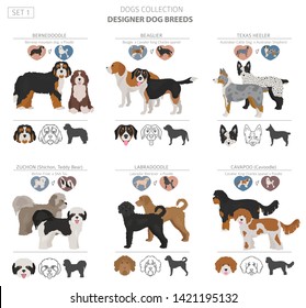 Designer-Hunde, gekreuzte, hybride Mischkästen Sammlung einzeln auf Weiß. Flaches Video-Clipart-Set. Vektorgrafik