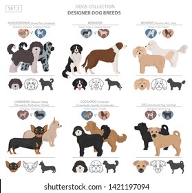 Designer dogs, crossbreed, hybrid mix pooches collection isolated on white. Flat style clipart set. Vector illustration