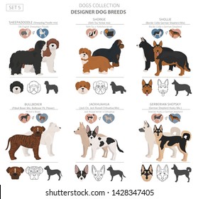 Designer dogs, crossbreed, hybrid mix pooches collection isolated on white. Flat style clipart set. Vector illustration