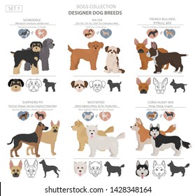 Designer dogs, crossbreed, hybrid mix pooches collection isolated on white. Flat style clipart set. Vector illustration