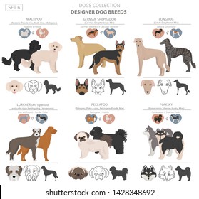 Designer dogs, crossbreed, hybrid mix pooches collection isolated on white. Flat style clipart set. Vector illustration svg