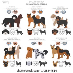 Designer dogs, crossbreed, hybrid mix pooches collection isolated on white. Flat style clipart set. Vector illustration