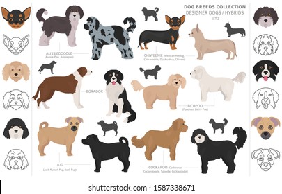 3 Aussie Pug Mix Images, Stock Photos & Vectors 