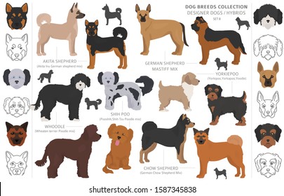 Designer dogs, crossbreed, hybrid mix pooches collection isolated on white. Flat style clipart dog set. Vector illustration