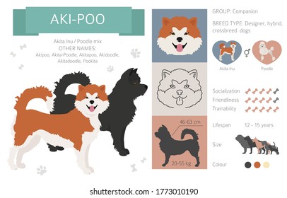 Designer dogs, crossbreed, hybrid mix pooches collection isolated on white. Aki-Poo flat style clipart infographic. Vector illustration