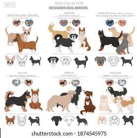 Designer dogs, crossbreed, hybrid mix pooches collection isolated on white. Flat style clipart dog set. Vector illustration