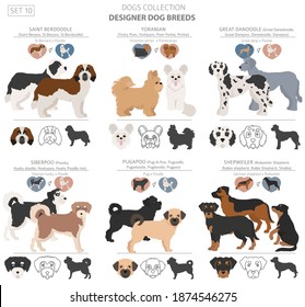 Designer dogs, crossbreed, hybrid mix pooches collection isolated on white. Flat style clipart dog set. Vector illustration