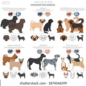 438 Pitbull clipart Images, Stock Photos & Vectors | Shutterstock